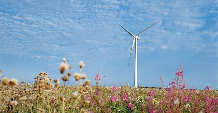 Dansk_elselskab_rejser_vindmøller_i_Polen