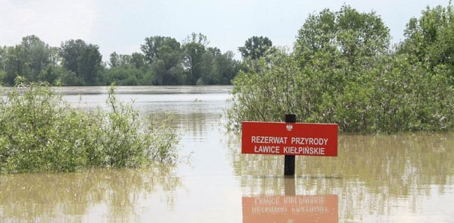 Polen_oversvømmelser_floder_2010