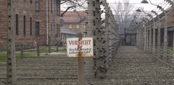 Auschwitz_museum_får_penge_fra_Tyskland_Martin_Bager_polennu