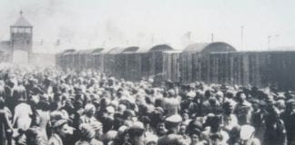 UDRYDDELSESLEJRE-Auschwitz-I-II-III-Birkenau