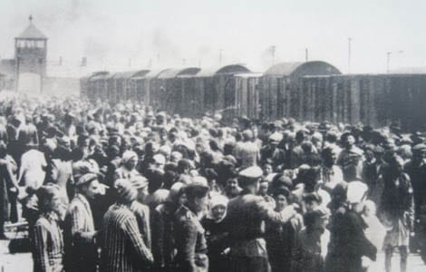 UDRYDDELSESLEJRE-Auschwitz-I-II-III-Birkenau