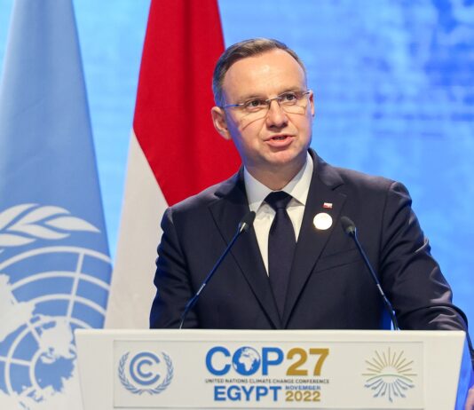Præsident klimatopmøde COP-27