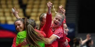 Polens håndboldkvinder i Danmark
